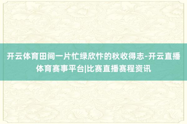 开云体育田间一片忙绿欣忭的秋收得志-开云直播体育赛事平台|比赛直播赛程资讯
